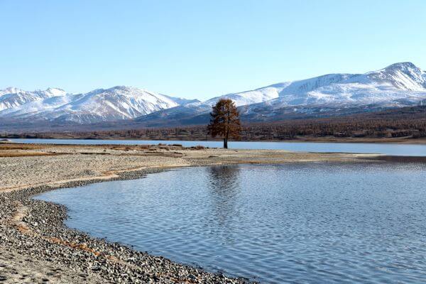 5bogd 169