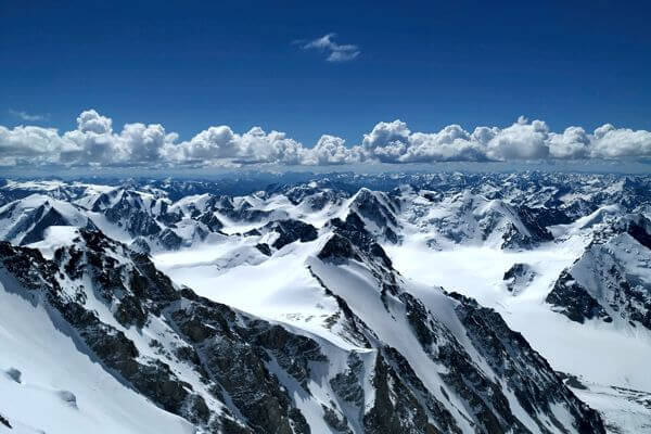 5bogd 226