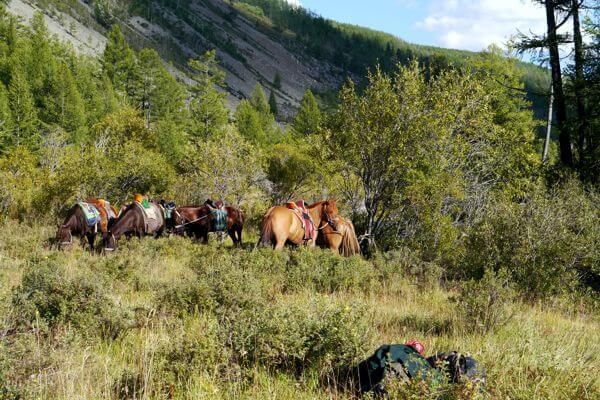 mongolia horse riding 147