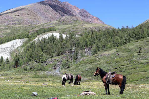 mongolia horse riding 169