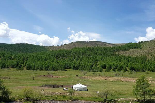 mongolia nomads 333