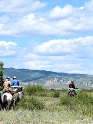 Horsebackriding