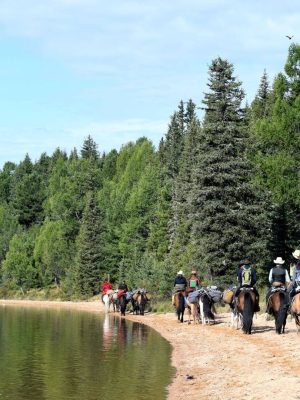 horseriding